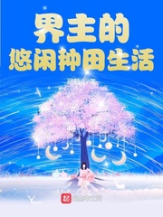 界主之上是什么境界