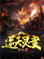 逆天神灵师 小说