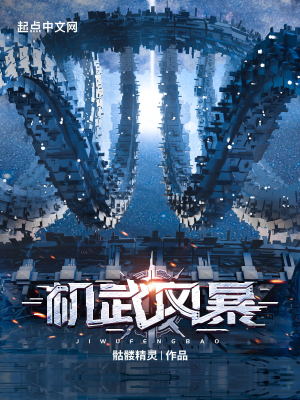 机武风暴txt小说免费阅读全文