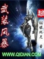 武装风暴小说阅读免费全文