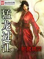 猛龙过江小说免费下载