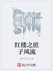 红楼之庶子风流小说阅读免费全文