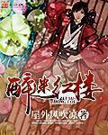 醉迷红楼小说免费阅读